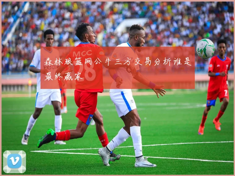 森林狼篮网公牛三方交易分析谁是最终赢家
