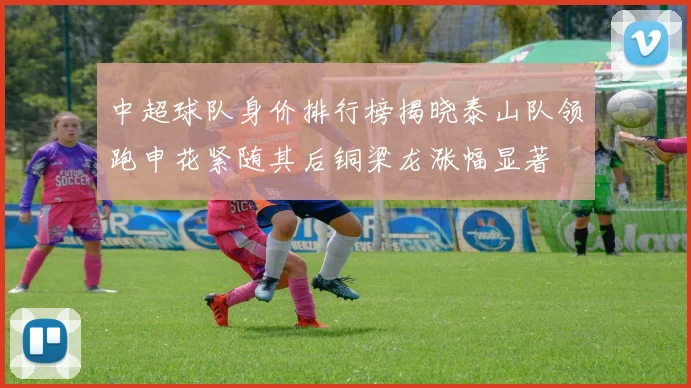 中超球队身价排行榜揭晓泰山队领跑申花紧随其后铜梁龙涨幅显著